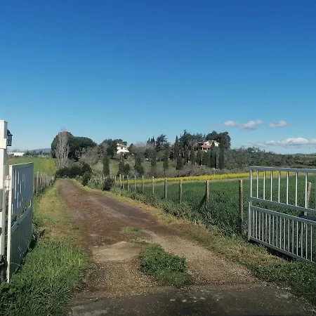 Con Piscina Riscaldata
