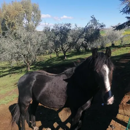 Con Piscina Riscaldata *